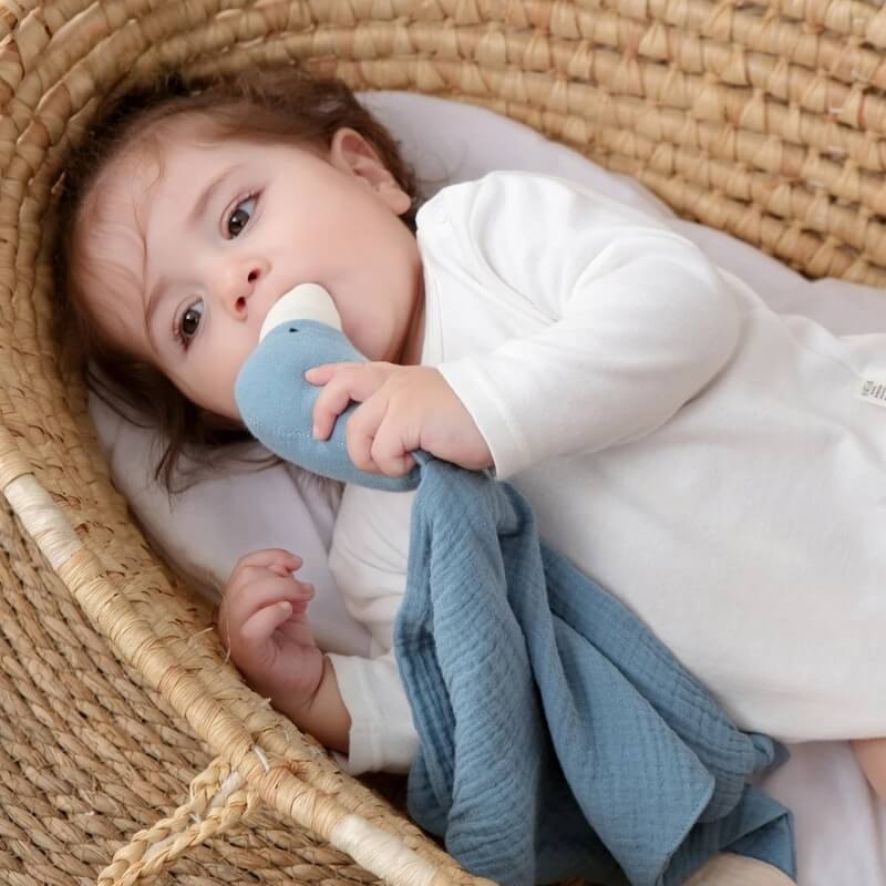 doudou bébé fille oie bébé couché