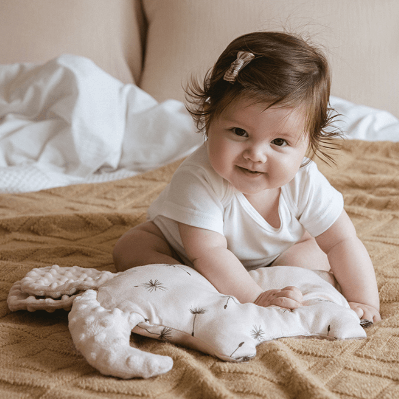 doudou bebe oreiller elephant assis