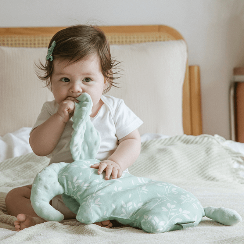 doudou bebe oreiller elephant machouille